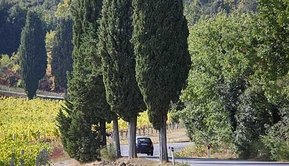 Estrada de San Gimignano a Volterra