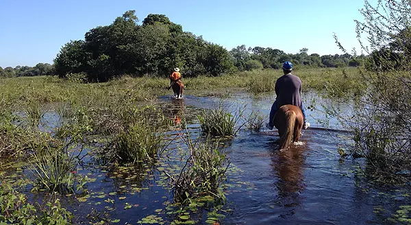 Óculos quebrado e uma viagem ao Pantanal