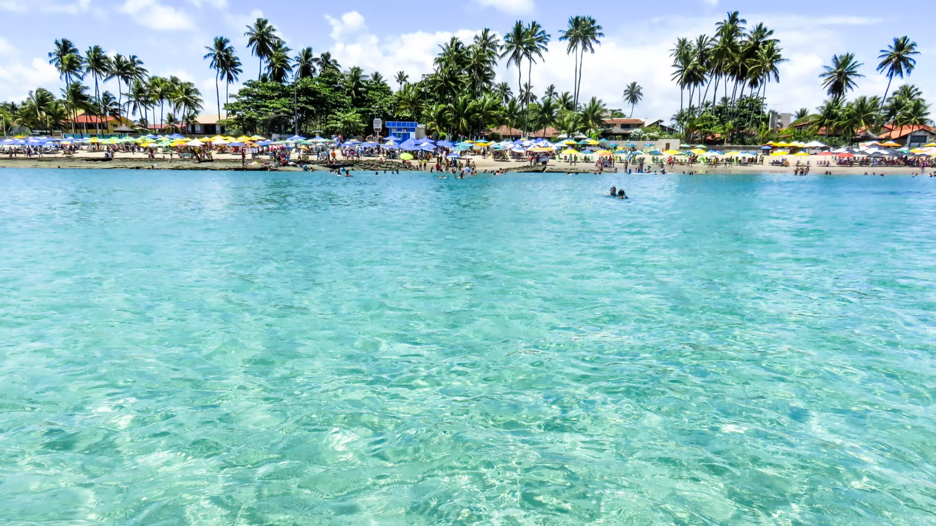 Porto De Galinhas Como Ir O Que Fazer E Onde Ficar🛣 Descubra A Emoção