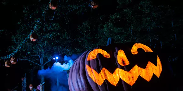 Halloween em casa: confira dicas de filmes e séries para curtir no Dia das  Bruxas