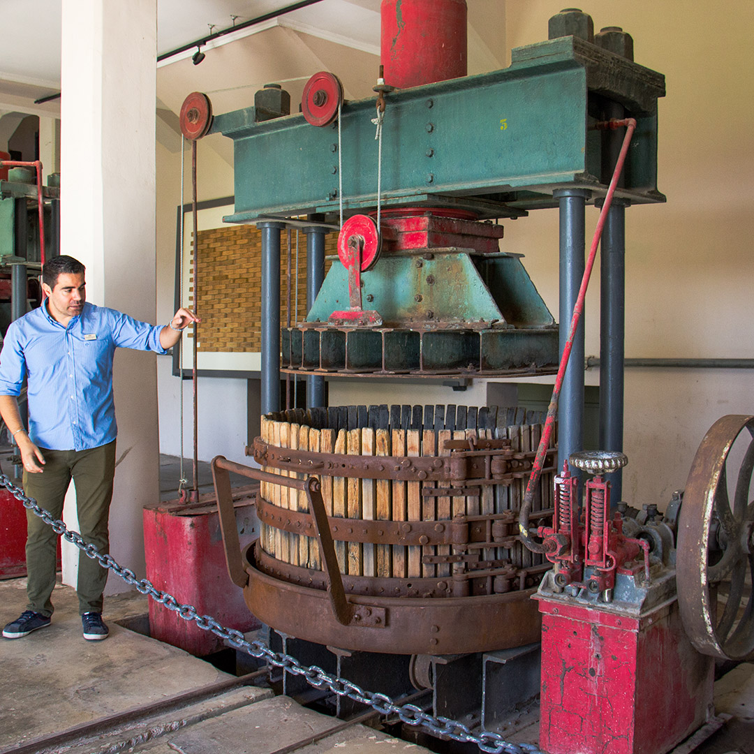 Vinícolas em Mendoza: Trapiche