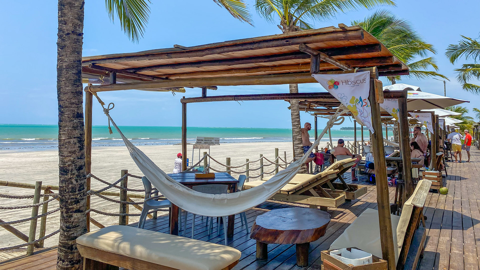 Maceió HIbiscus